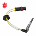 Glow pin ceramic heater for parking heater